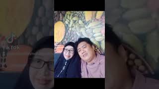 How Do You Feel The Cats Lealea menua Bersama