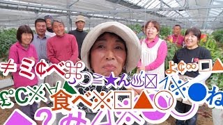 宮崎マンゴーラングドシャCM（10パターン）