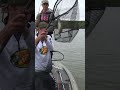 NICE CATCH!! #BassProShops #Fishing #BassFishing #FishCatch #Catch #LakeDardanelle