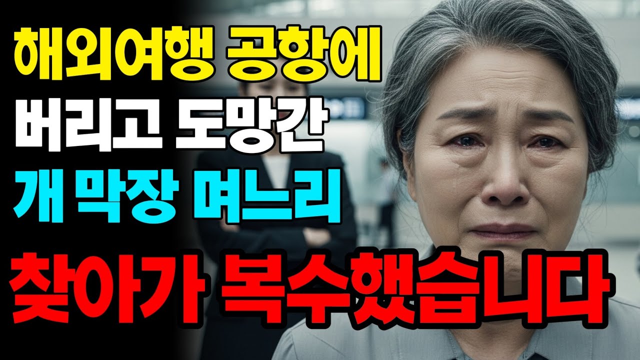 여권 달라더니 외국공항에 남겨두고 사라진 며느리 찾아가 인생 끝장 냈습니다 | 고부갈등 | 노후사연 | 인생사연 | 실화사연 | 사연 | 노후 | 오디오북