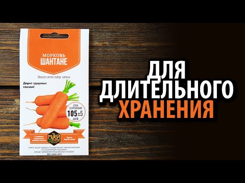 Семена Моркови Шантане 🥕🥕🥕 Для длительного хранения