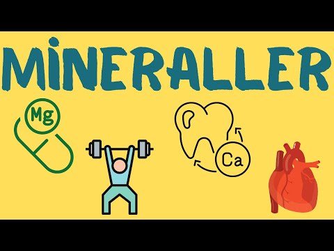 9.Sınıf Biyoloji: Mineraller