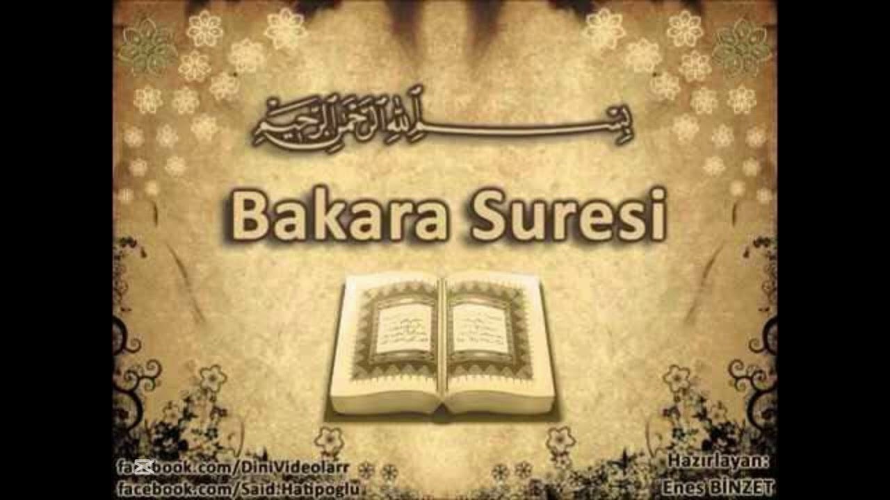 Bakara Suresi – Kur’an-ı Kerim’in En Uzun ve Faziletli Suresi