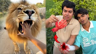 Lion Subhan Ka Hath Kha Gea Hand Cut