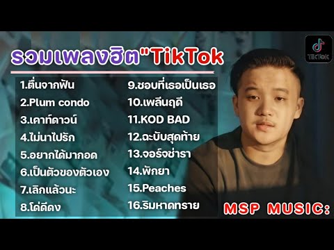 รวมเพลงฮิตในTikTok เพลงเพราะเพลงใหม่ล่าสุดใน TikTok เพลงมาแรงTikTok