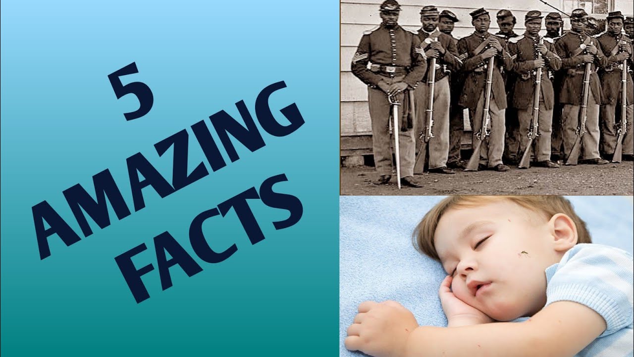Amazing 5 Facts / Real facts YouTube
