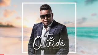 Luis Miguel Del Amargue - Te Olvide (Bachata 2020)