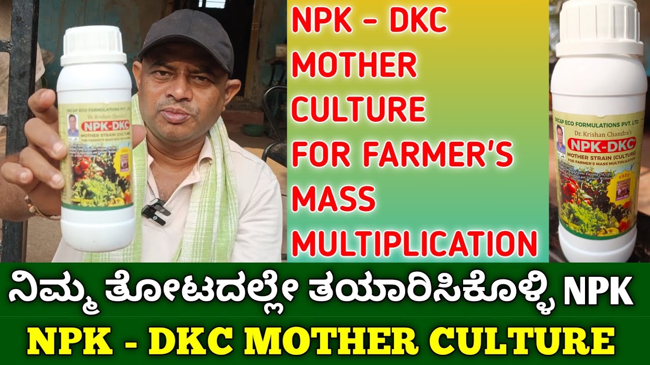 ನಿಮ್ಮ ತೋಟದಲ್ಲೇ ತಯಾರಿಸಿಕೊಳ್ಳಿ NPK | NPK Fertilizer | NPK Mother Culture For Mass Multiplication