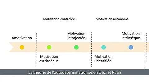 Comment la théorie de l'autodétermination Explique-t-elle la motivation d'un individu ?