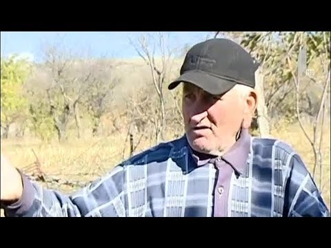 საკუთარი არჩევანი გააკეთეს საოკუპაციო ზოლში მცხოვრებლებმა