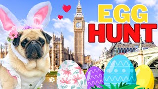 Dog Easter Egg Hunt in London 🇬🇧🐣 — Maggie the Pug