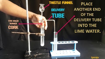 CO2 GAS IS EVOLVED WHEN ACIDS REACTS WITH EITHER CARBONATES OR HYDROGEN CARBONATES
