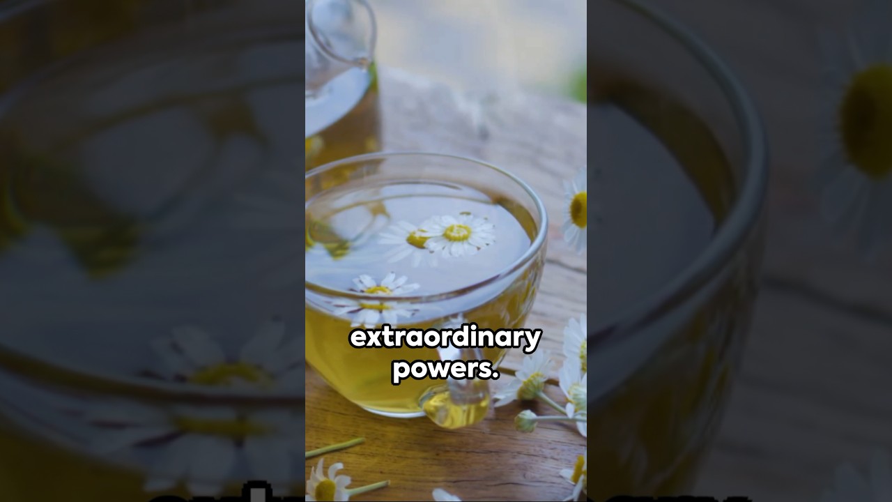 Blooms & Benefits: Uncover Flower Power Secrets in less than 60 Seconds! 🌻🪻🌸🌹