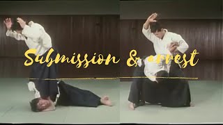 Lethal Jujutsu submissions & arresting techniques (Daito ryu Aikijujutsu) 大東流柔術