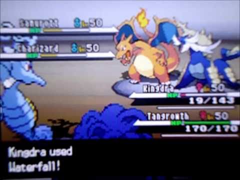 Pokemon Black Random Wi-Fi Battle HD