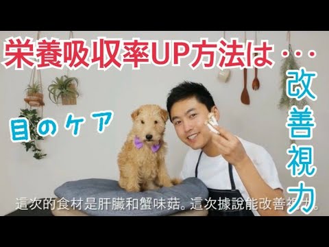 手作り犬ご飯 狗狗的鮮食食譜 レバーとしめじ炒め Youtube