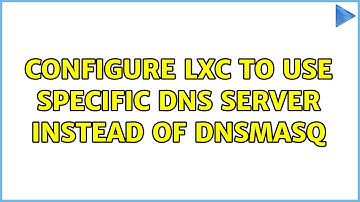 Configure LXC to use specific DNS server instead of DNSMASQ