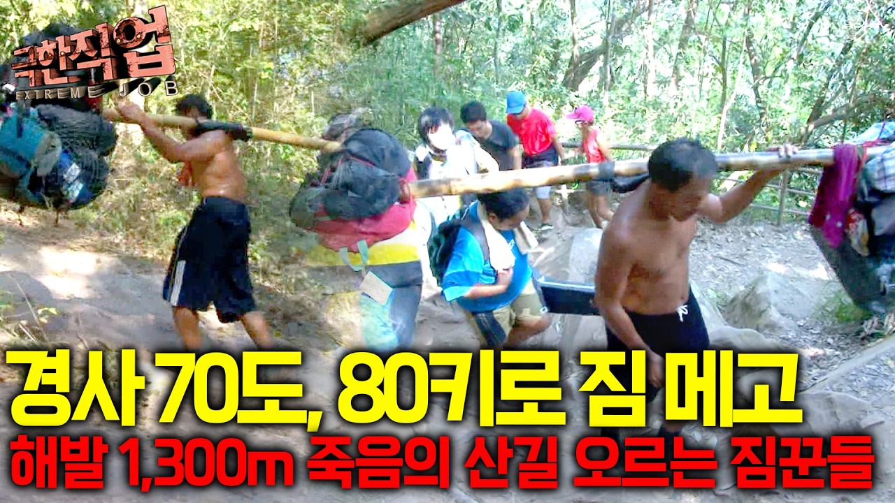 심장이 터질 듯한 4시간의 사투, 80kg을 지고 70도 절벽을 오르내리는 생과 사의 경계에 있는 사람들｜극한직업
