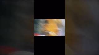 Jeremy Kitts MMA Fight