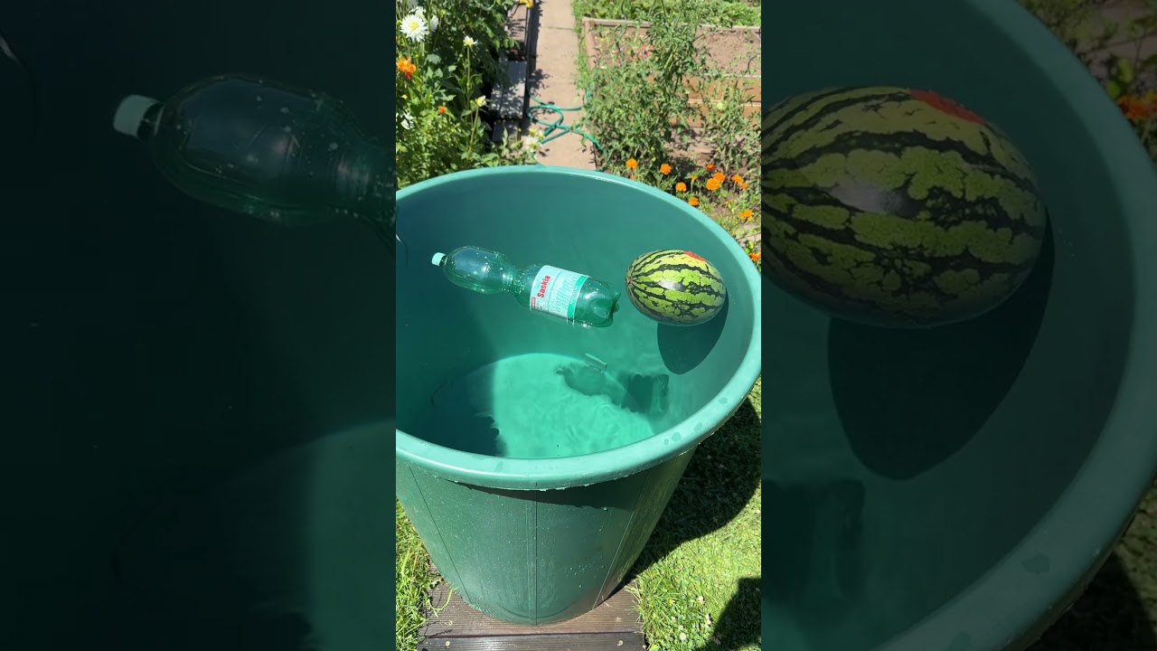 Two-body motion Keplerian motion #