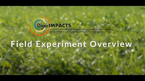 The DiverIMPACTS field experiments