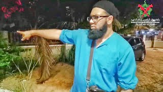Jin Diarah Untuk Menunjukkan Bughul Sihir Yg Ditanam Di Halaman Rumah  Tok Singa Terbaru