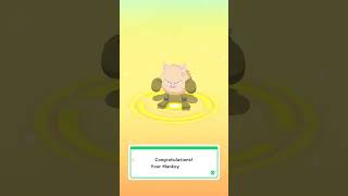 🐲♱Shiny Mankey Evolution♱🐲