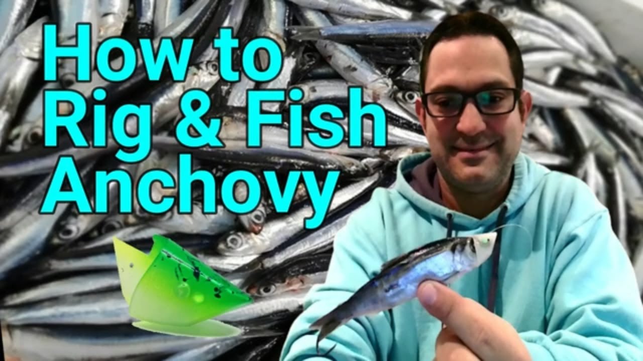 How to Rig & Fish for Salmon with Anchovy Teaser Heads 