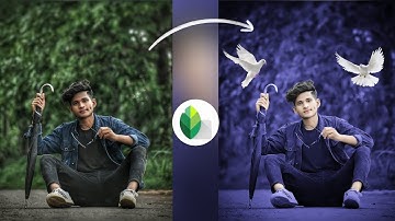 Snapseed Dark Blue And Bird Effect Photo Editing  | Snapseed Colour Grading | Photo  Editing Tricks