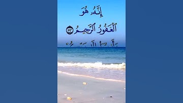 سورة  الزمر (53 إلى آية 55) بصوت القارئ الشيخ عارف أنس الشحي