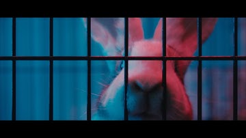 Gib (2025) - Arri Alexa Plus | CODEX ARRIRAW