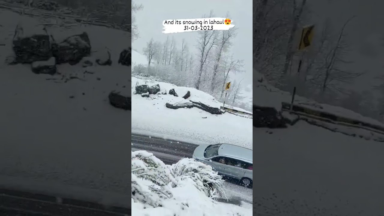 Still snowing im Lahaul valley on 31st March 2023 