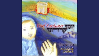 Video thumbnail of "Yosef Karduner - Ha'aleinu"