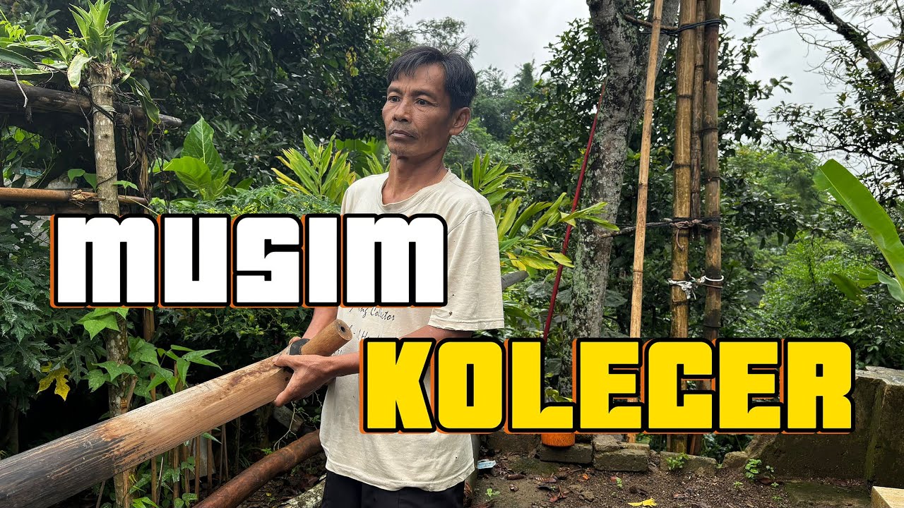 Сезон колецеров уже наступил, радуя сердца фанатов