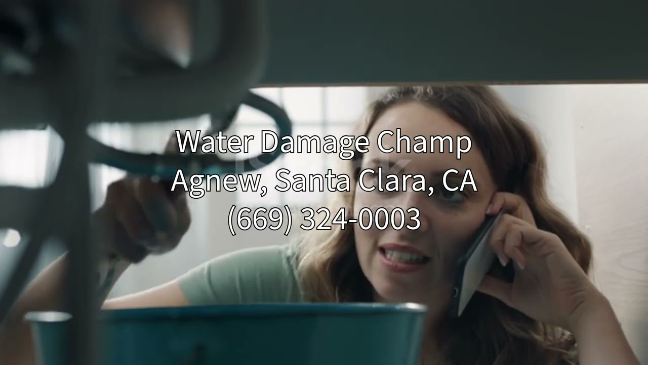 Water Damage Restoration Agnew Santa Clara CA | Water Damage Champ