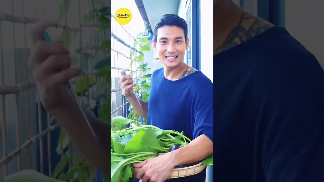 ပိုင်တံခွန် ရဲ့အိပ်ပေါ်က သီးနှံစိုက်ခင်း