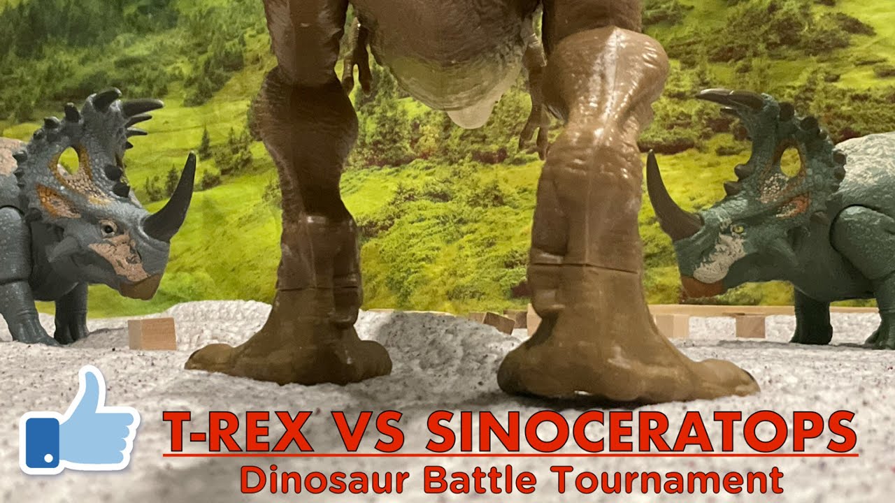 T rex vs Sinoceratops