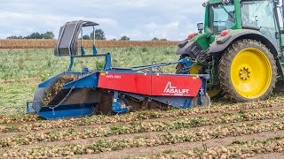 ASA-LIFT WR 180 | Windrower for onions | working width 1.80 m