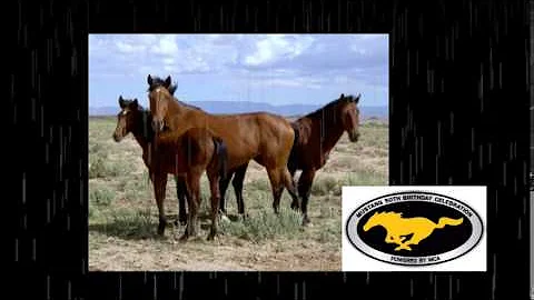 Mustang Sally Hopper TOO  Georgie Bee with help fr...