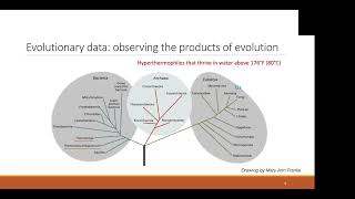Learning Protein Fitness Models from Evolutionary and Experimental Data
