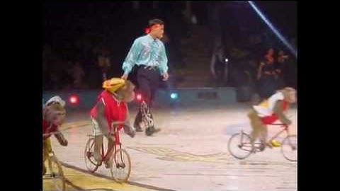 dịch vụ xiếc trung ương- liên đoàn xiếc việt nam , nhận diễn xiếc , hề xiếc ảo thuật 0975 272627