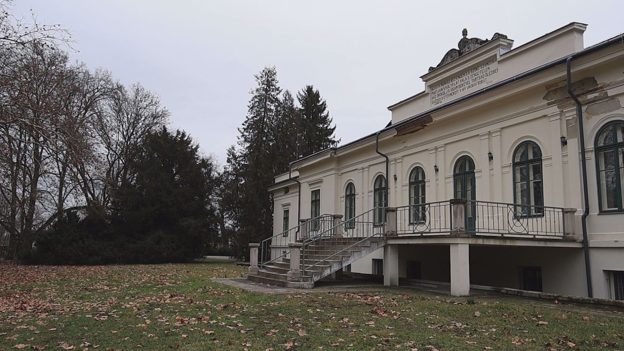 M5 TV – Erdei utakon – 2026/9. adás – 2026.03.01.