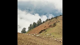 Iranian Traditional Flute Ney With The Sound Of Nature