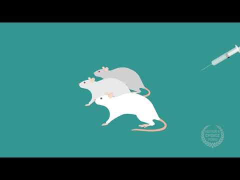 Impaired axon regeneration in rats after nitrous oxide