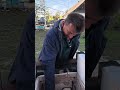 Коли хочеться хліба День не має значення 
