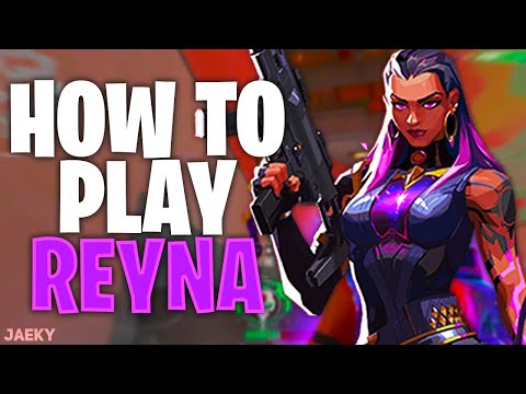 Video: Er reyna en god agent?