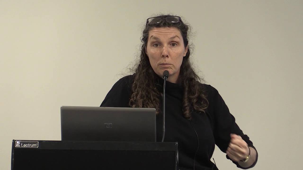 AIHI Seminar Series 2016 - Professor Annette O'Connor - YouTube