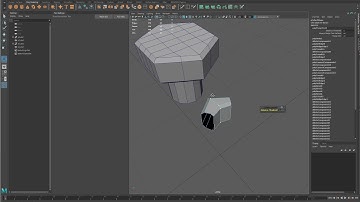 Maya Cleaning Up the Washer / Nut