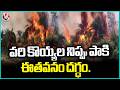 Palm Field Caught On Huge Fire Which Spread From Paddy Stubble | V6 News