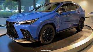 Best Detailed Walkaround 2022 Lexus NX450h+ AWD